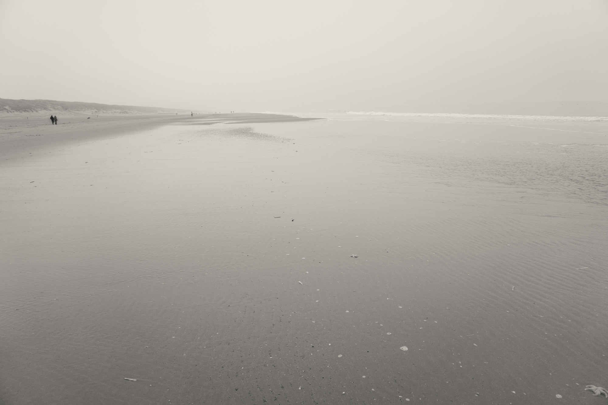 Het weidse strand, IJmuiden aan Zee