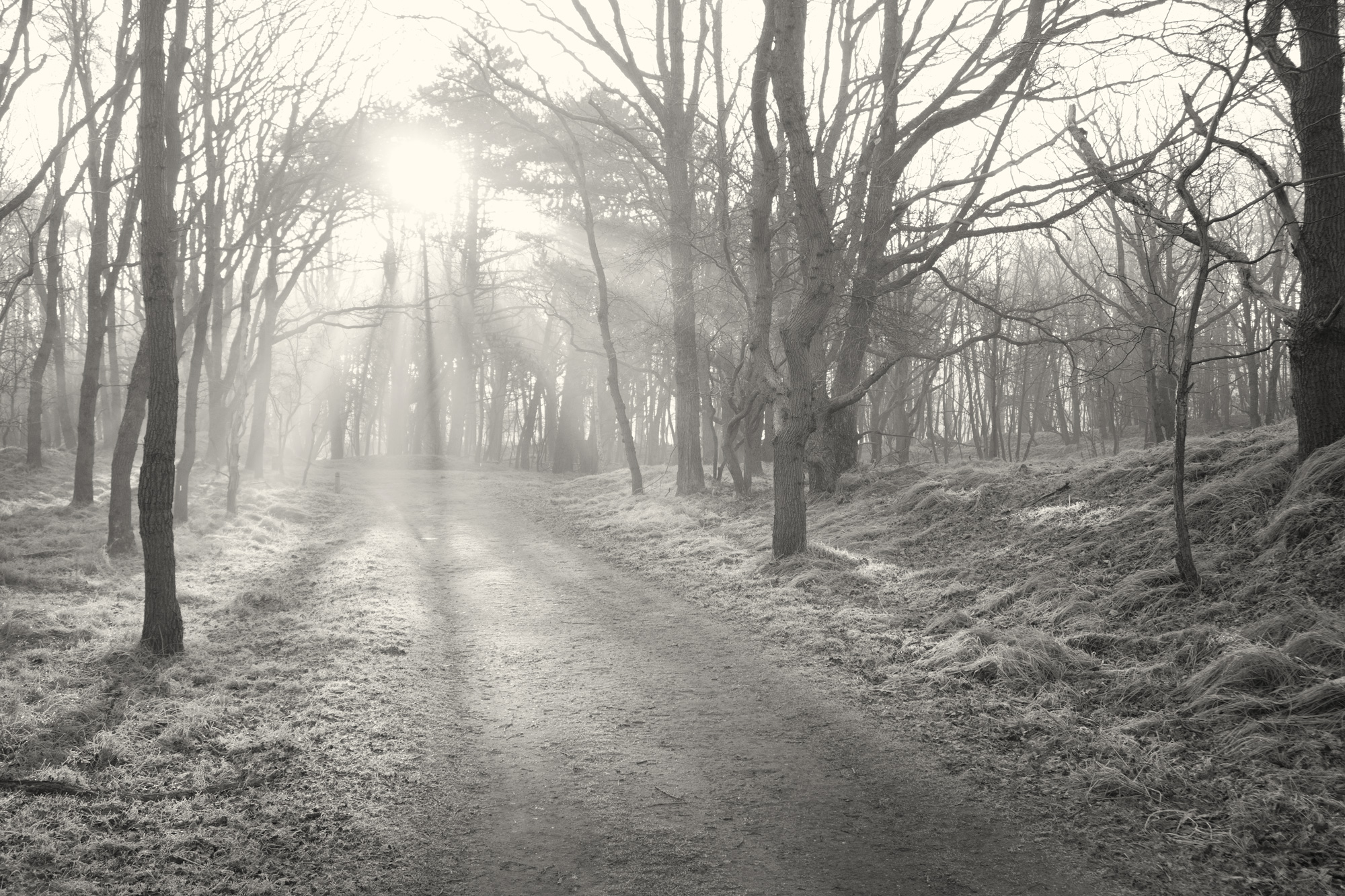 Boompad, Waterleidingduinen Pannenland