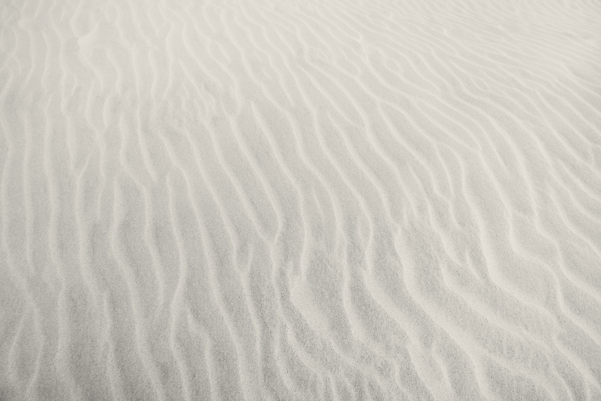 Strandribbels, Zandvoort
