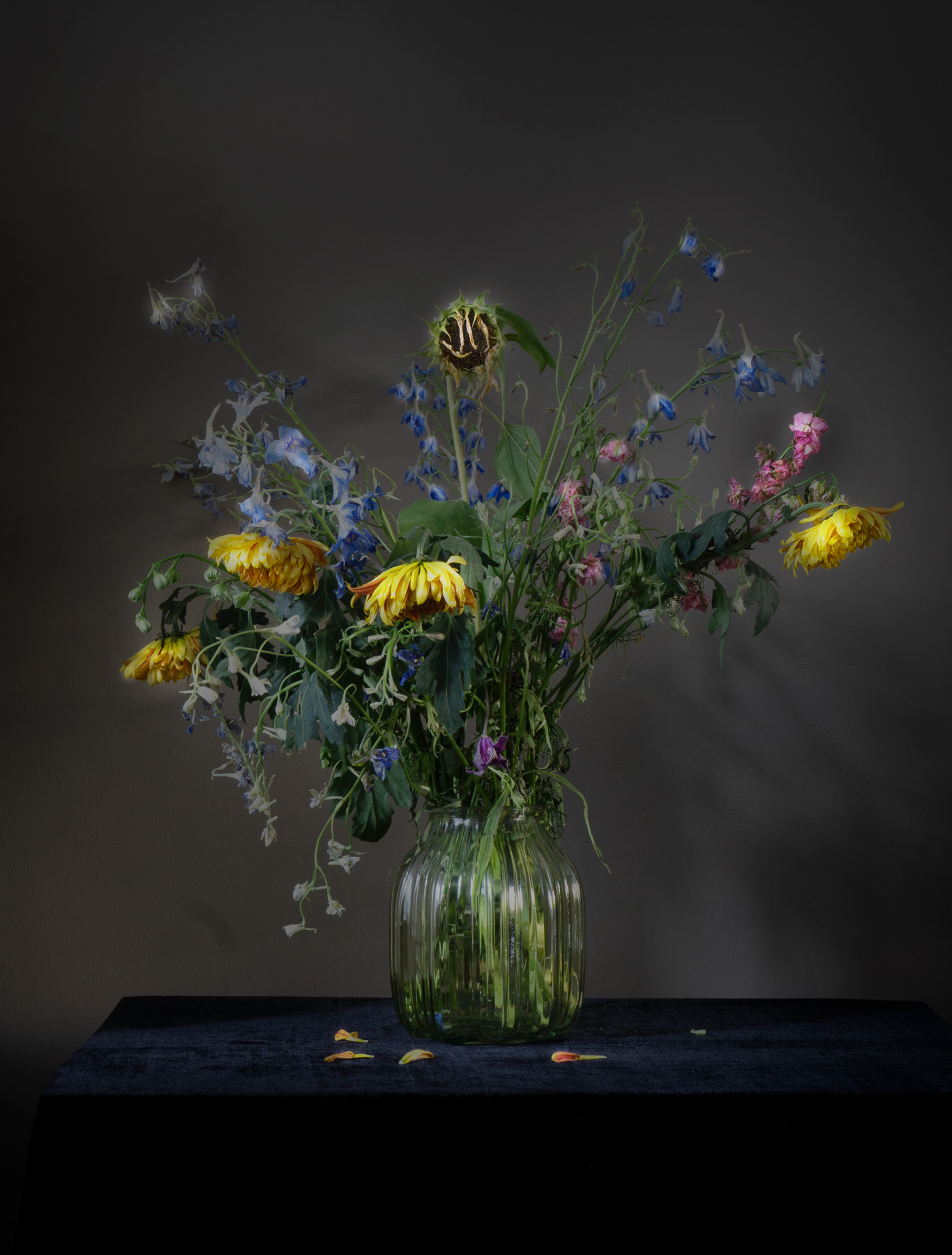 Beauty of Decay III, studiofoto