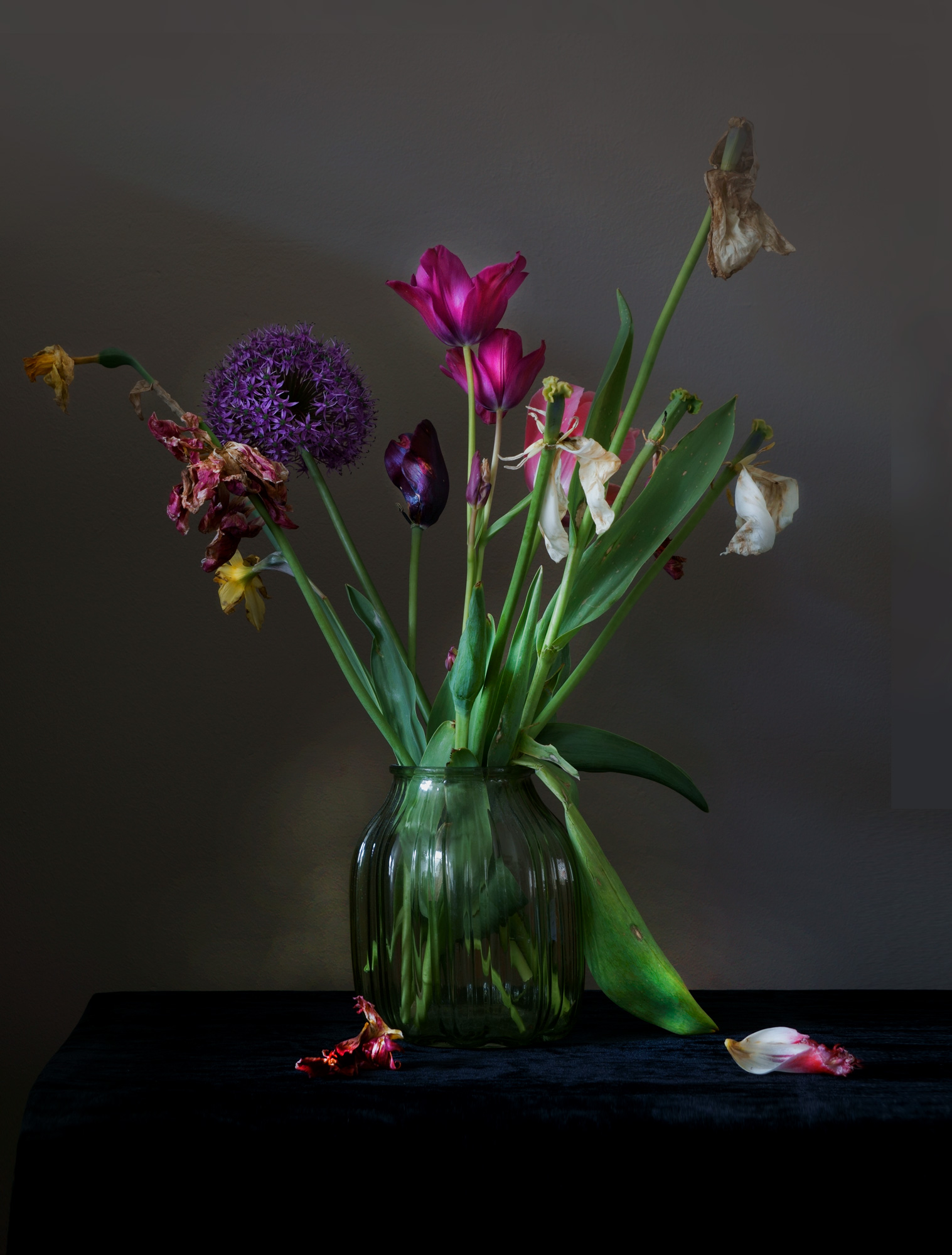 Beauty of Decay I, studiofoto