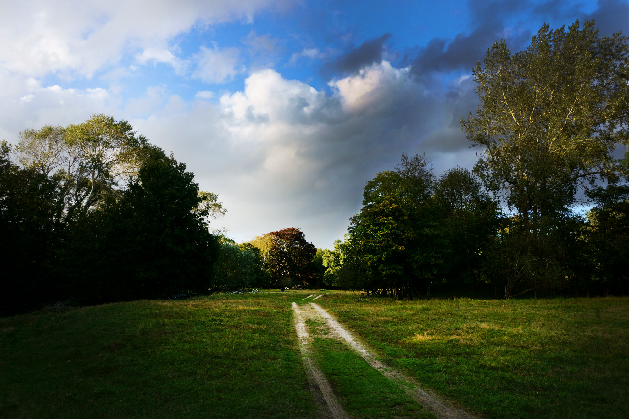 Duinpad, Waterleidingduinen, Zandvoort