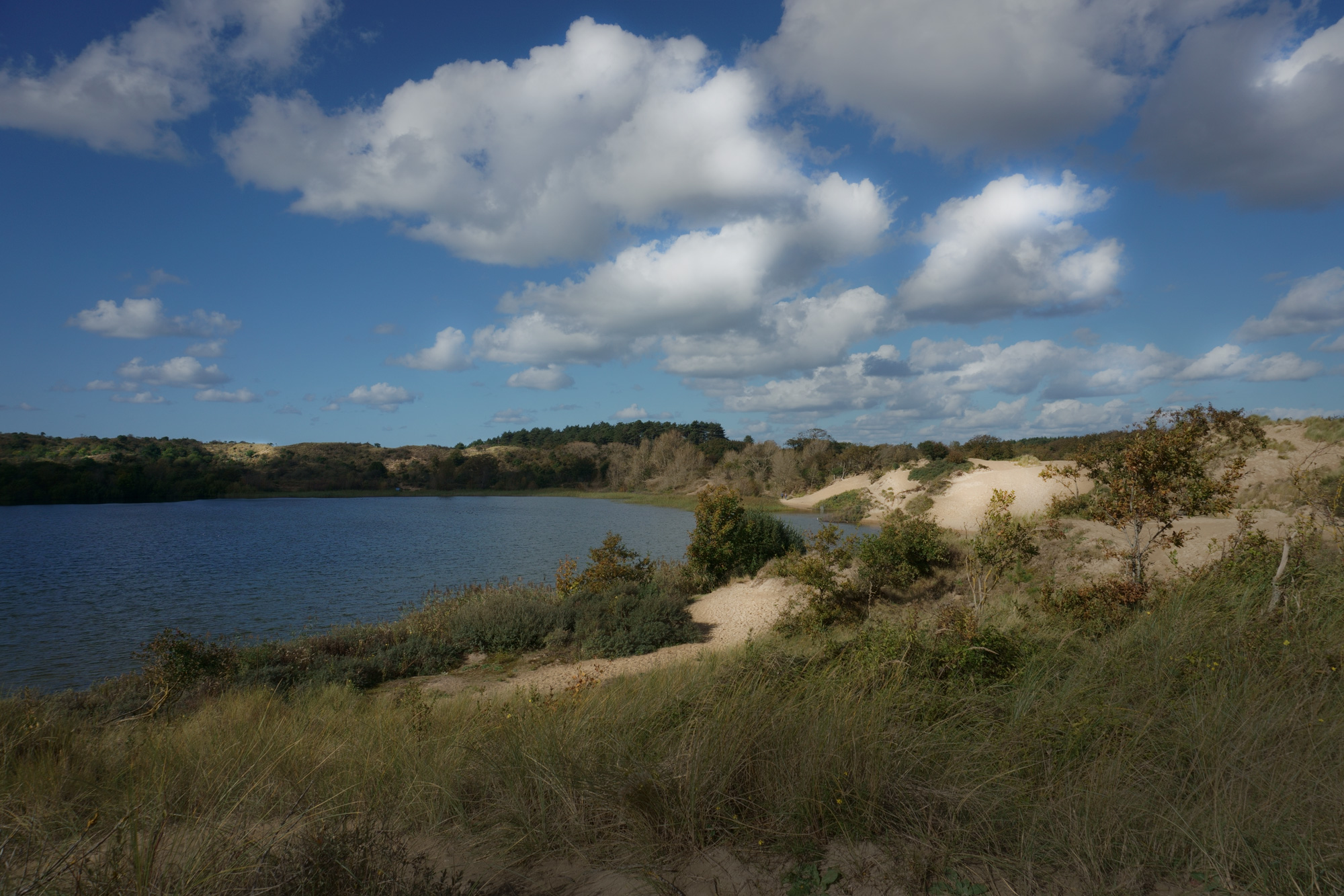 Duinmeer 't Wed, Kennemerduinen, Overveen