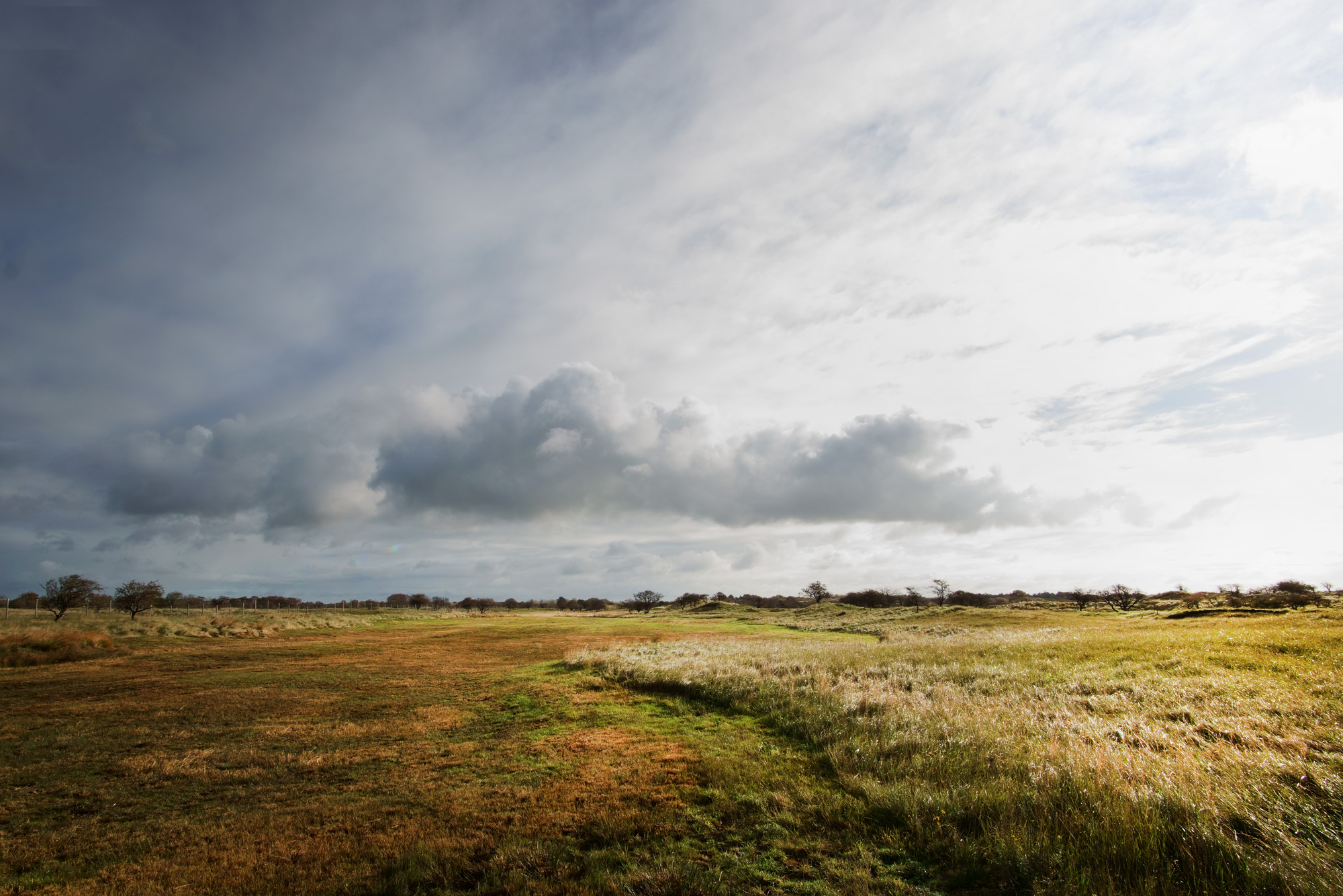 Het weidse duin, Waterleidingduinen, De Zilk