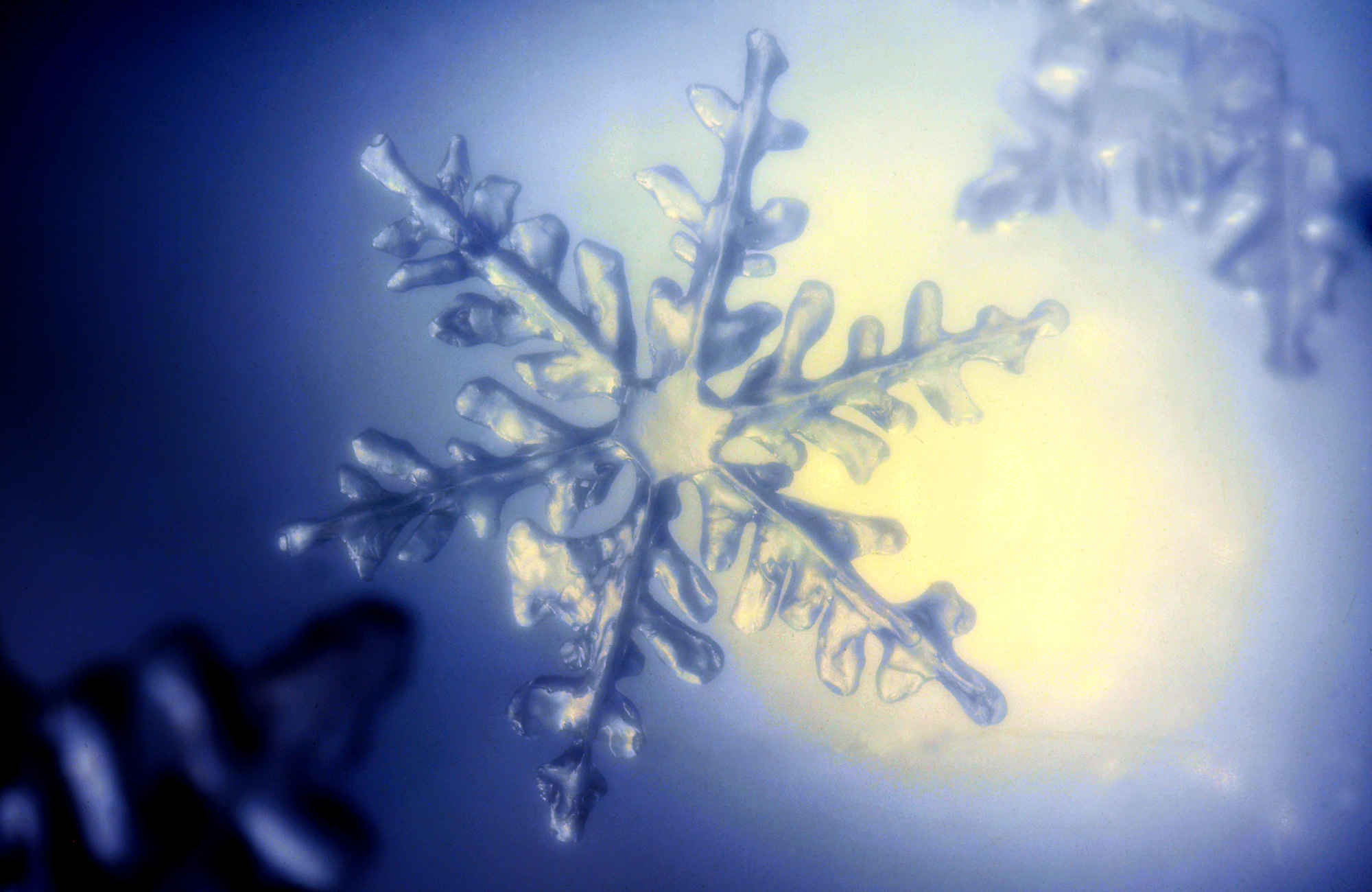 IJskristal i.o.v. M.S.D.