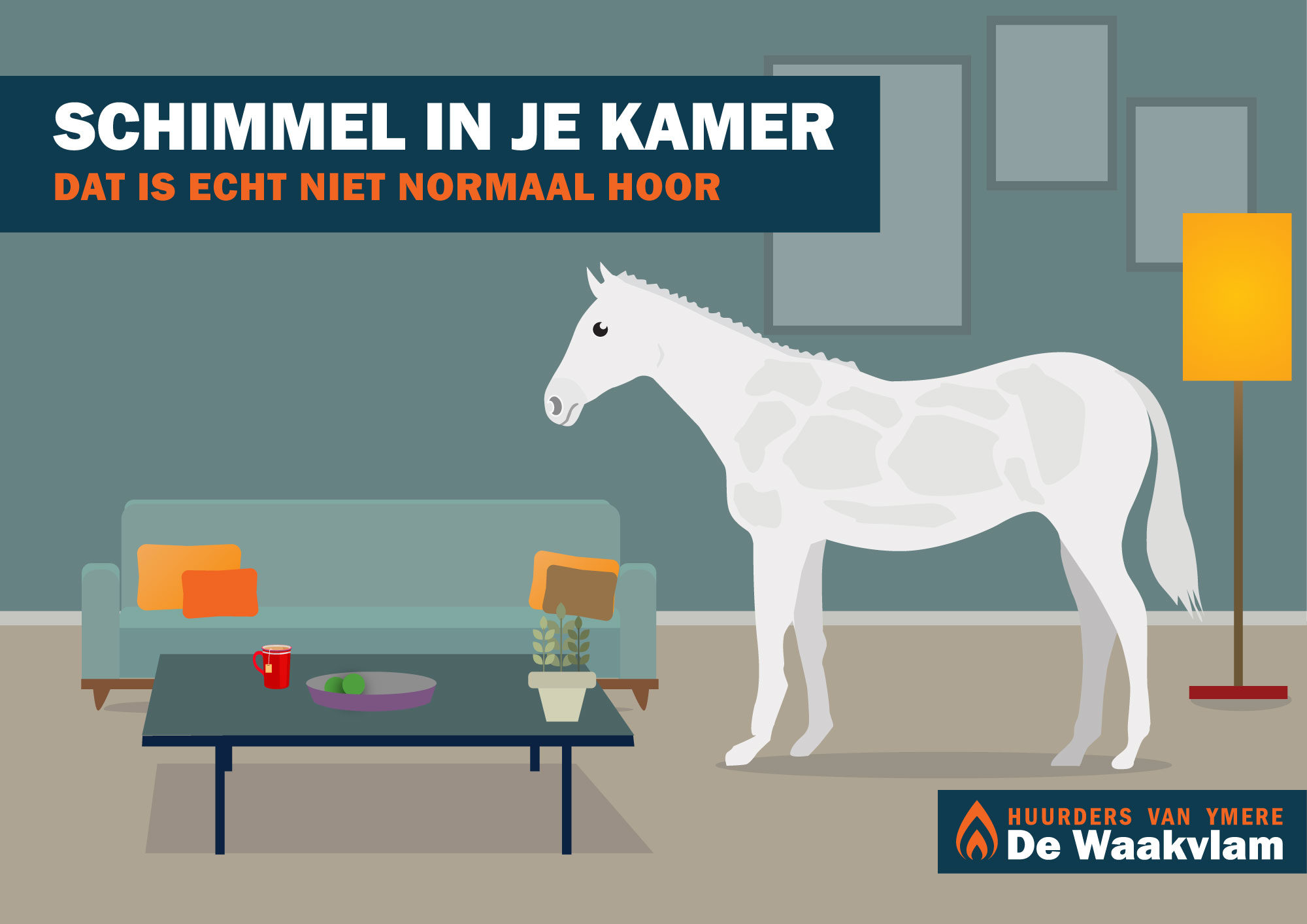 Schimmel in je kamer